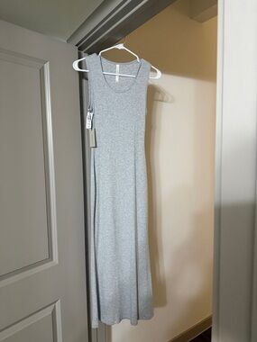 Aritzia Light Gray Sleeveless Maxi Dress